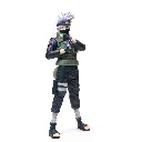a2.webp